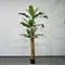 banana tree artificial